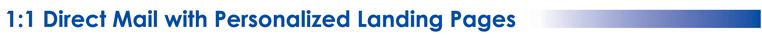 1:1 Direct Mail with Personalized Landing Pages